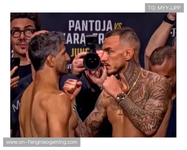 反架选手战术优势统计：莫伊卡诺对阵大流士风格克制研究