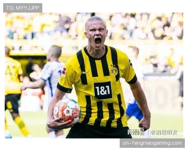 哈兰德随队完整训练，有望出战对阵国际米兰的关键战役